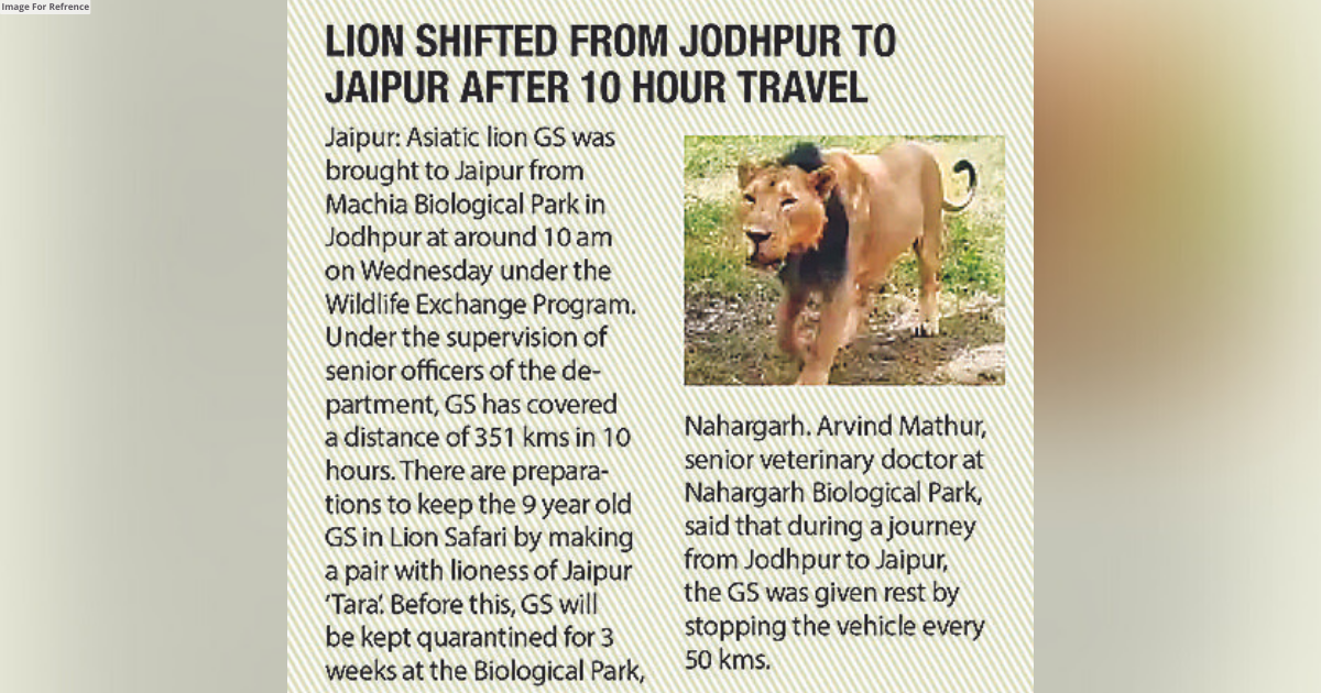 One more Asiatic lion dies in N’garh
